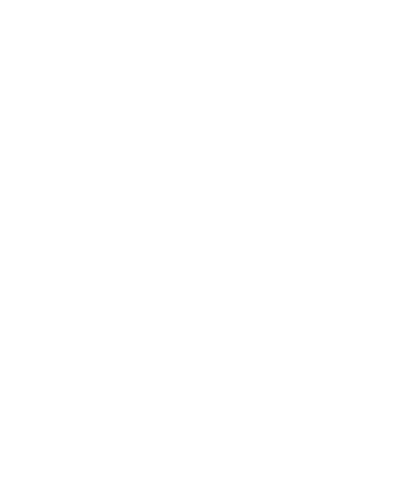 Torino FC
